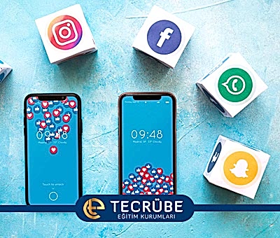 featured project